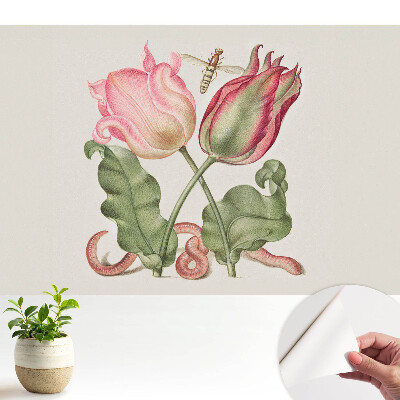 Tapeta Květiny a hmyz v nostalgické kompozici