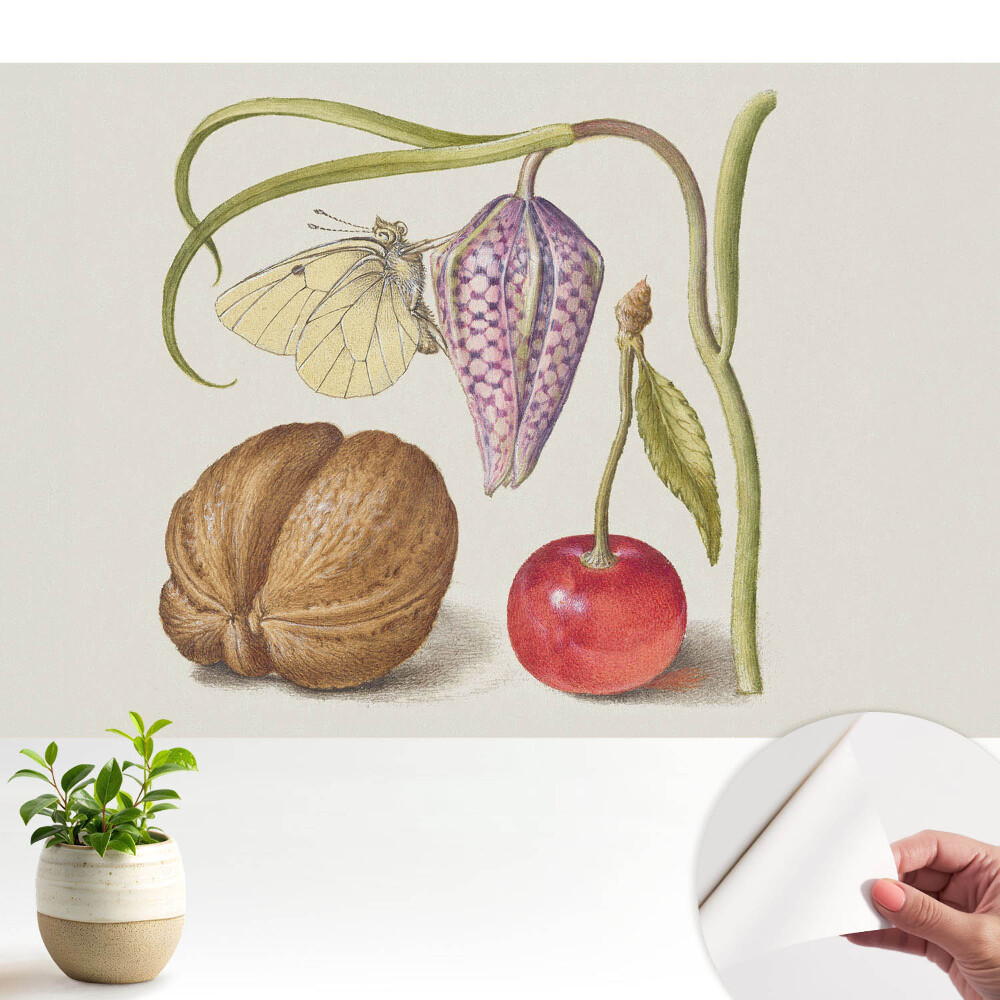 Tapeta na zeď Motýl na květních listech a plodech