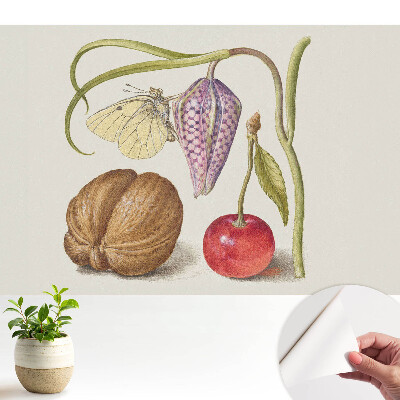 Tapeta na zeď Motýl na květních listech a plodech