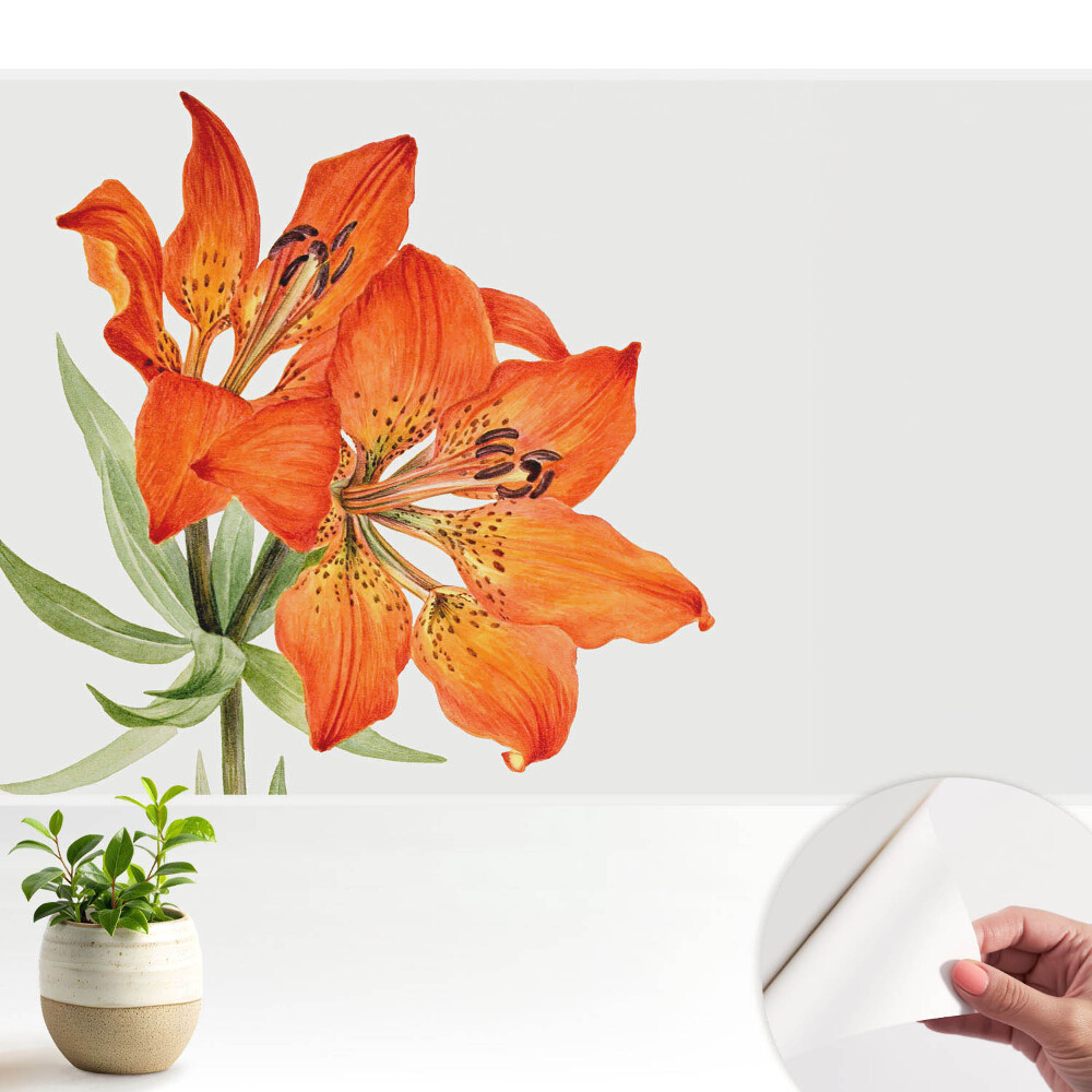 Tapeta Oranžová lilie, decentně klasická