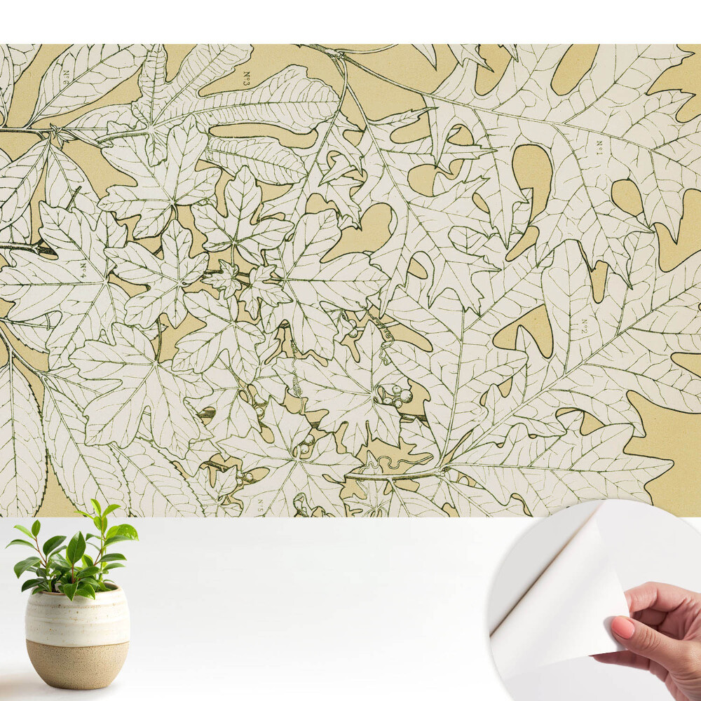 Tapeta Botanická kresba listů stromů