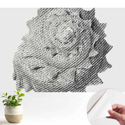 Tapeta s motivem spirální skořápky vytvářející vizuální harmonii