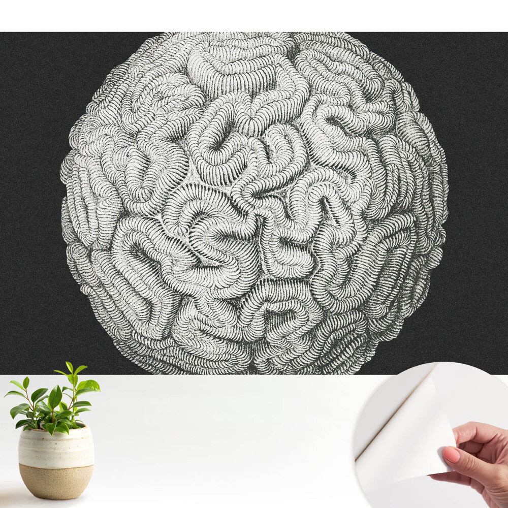 Tapeta Monochromatická sférická harmonická struktura