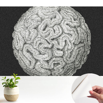 Tapeta Monochromatická sférická harmonická struktura