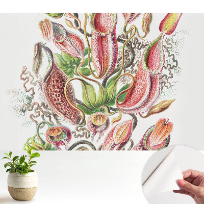 Tapeta do obývacího pokoje s motivem exotických hmyzožravých rostlin