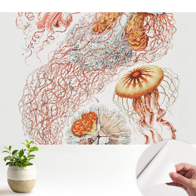 Tapeta na zeď Umělecká medúza s detaily