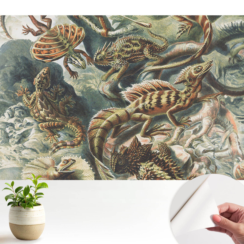 Tapeta Báječná vzorovaná příroda s ještěrkami