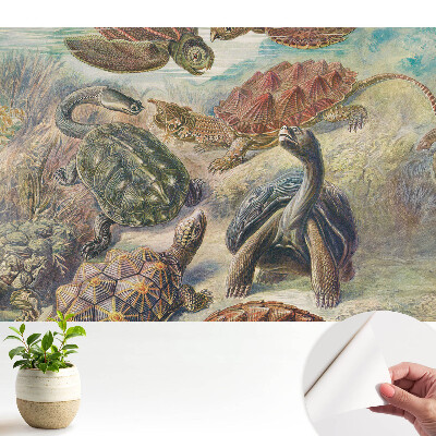 Tapeta do obývacího pokoje s motivem želv ve vodní scenérii