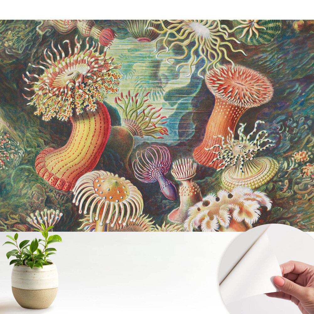 Tapeta Podvodní tvary a zářivé barvy