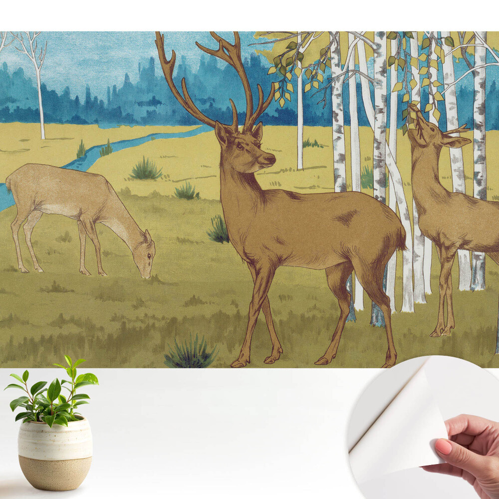 Tapeta Jelen v březovém lese