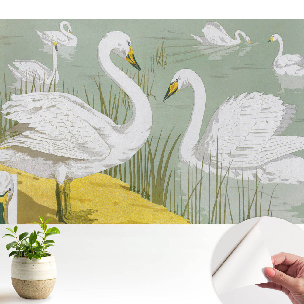 Tapeta na zeď Labutě na jezeře Romantická elegance