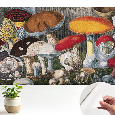 Tapeta na zeď s botanickým motivem zobrazujícím různé druhy hub