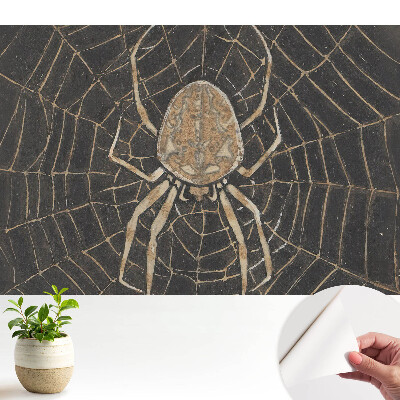 Tapeta s motivem pavouka uprostřed symetrické pavučiny