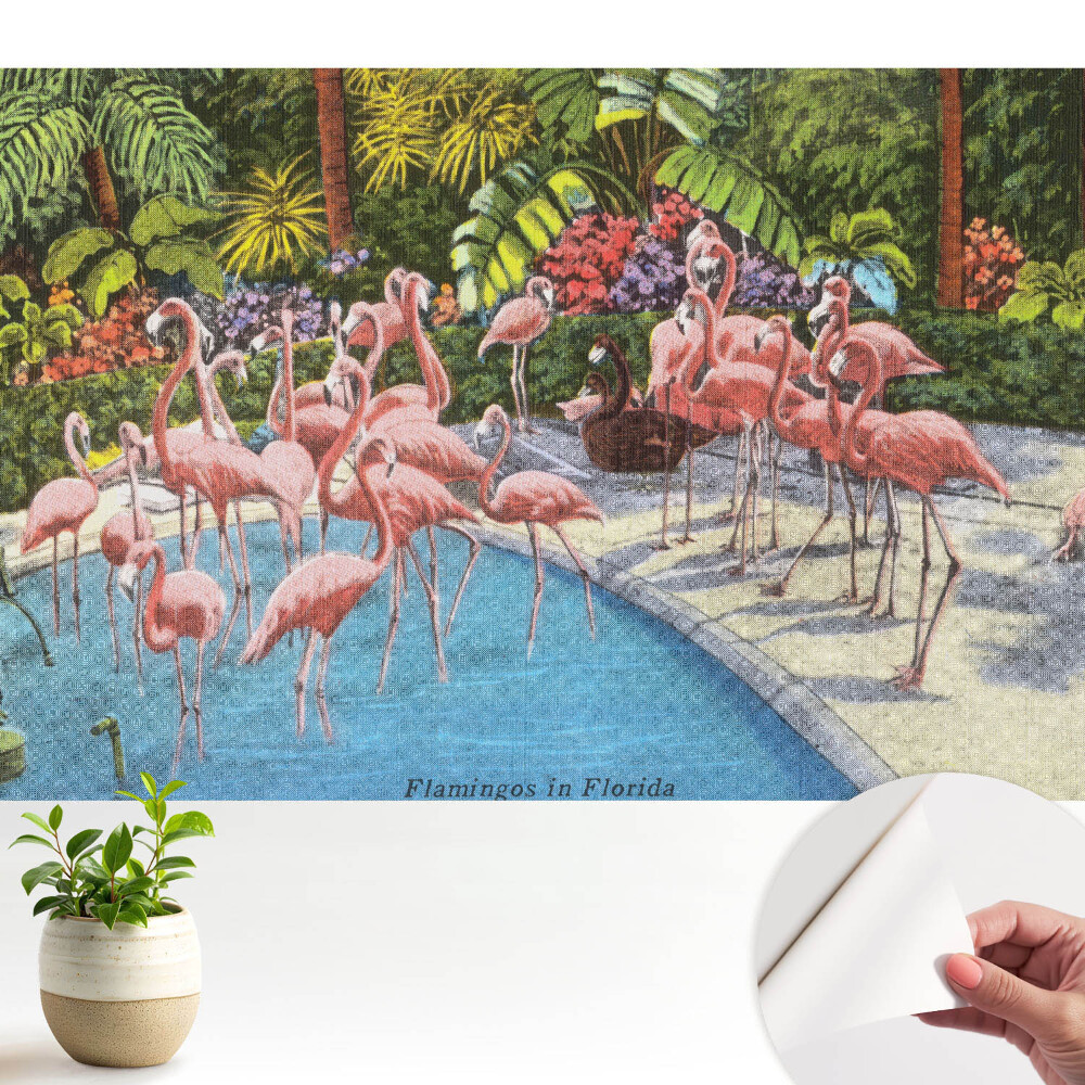 Tapeta Plameňáci u bazénu