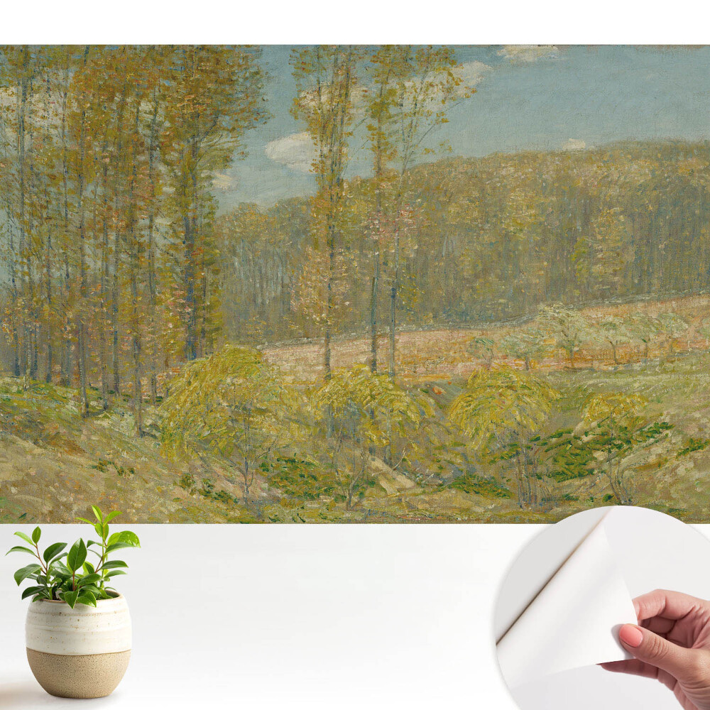 Tapeta na zeď Přírodní krajina v harmonickém stylu