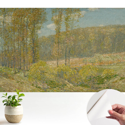 Tapeta na zeď s motivem přírodní krajiny v harmonickém stylu