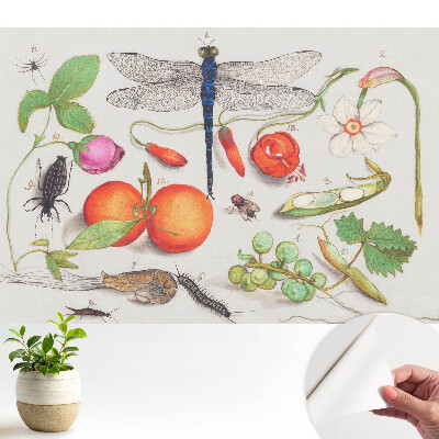 Tapeta na zeď s botanickou koláží a motivem hmyzu