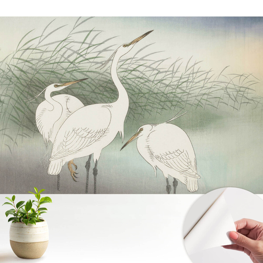 Tapeta Křehcí ptáci mezi trávou