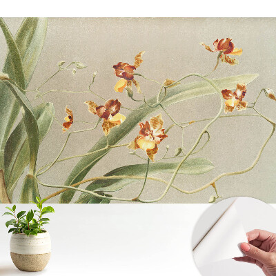 Tapeta Krásné orchideje na šedém pozadí