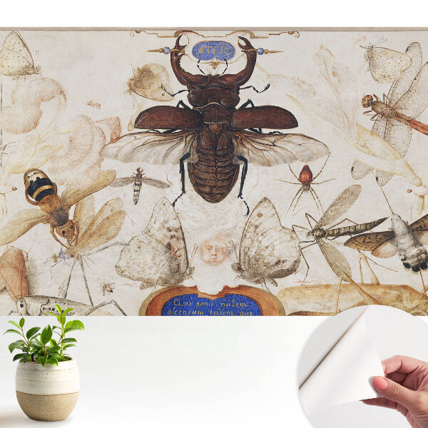 Tapeta do obyvaku Hmyz motýli pavouk klasická symetrie