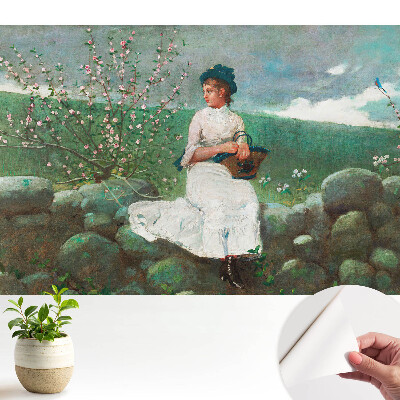 Tapeta Květiny a dívka na zdi