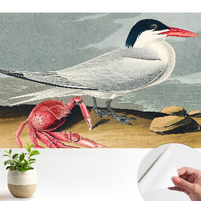 Tapeta Pták a krab, klasický duet přírody