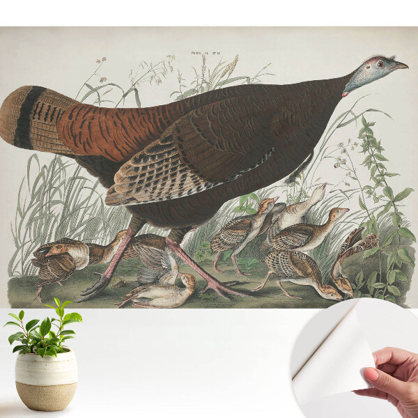 Tapeta na zeď Přírodní ilustrace divokého krocana