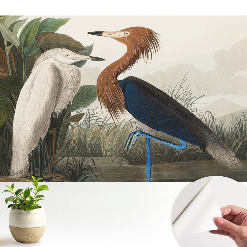 Tapeta Elegantní ptáci v vegetaci