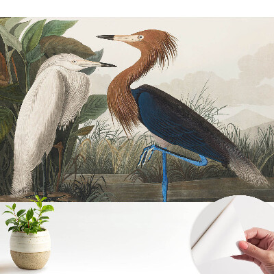 Tapeta Elegantní ptáci v vegetaci