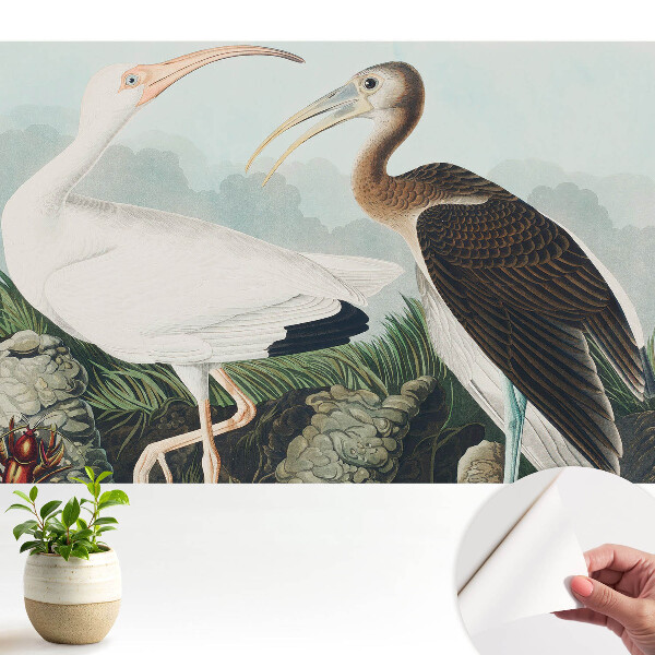 Tapeta do obyvaku Dva ptáci v jejich přirozeném prostředí