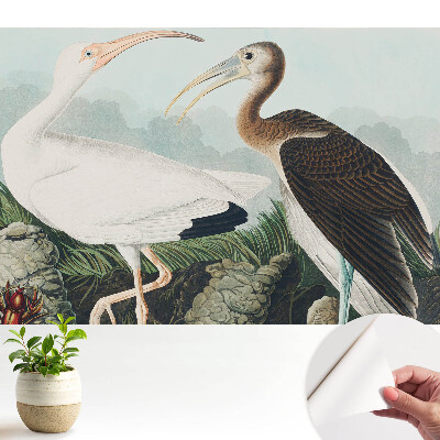 Tapeta do obývacího pokoje s motivem dvou ptáků v jejich přirozeném prostředí