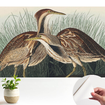 Tapeta na zeď s motivem ptáků v trávě v klasickém realistickém stylu se symetrickým vzorem