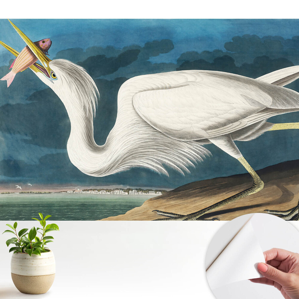 Tapeta do obyvaku Ptačí elegance a příroda