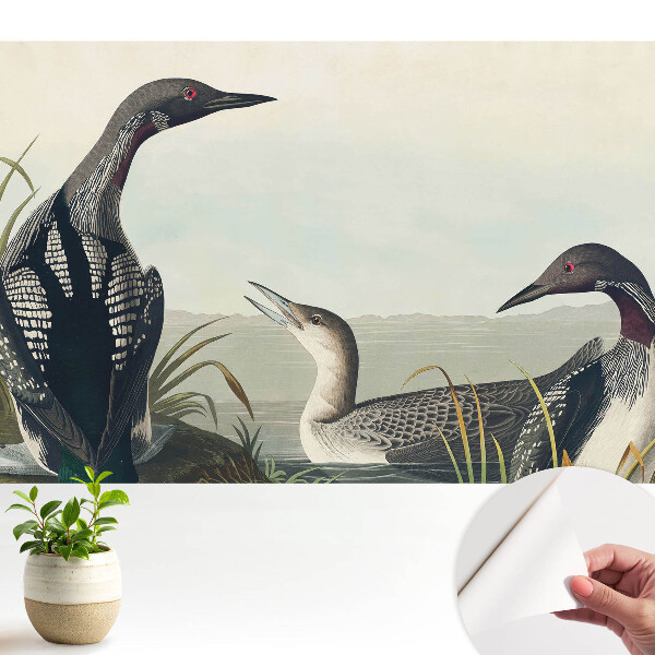 Tapeta Tři ptáci v klasickém stylu.