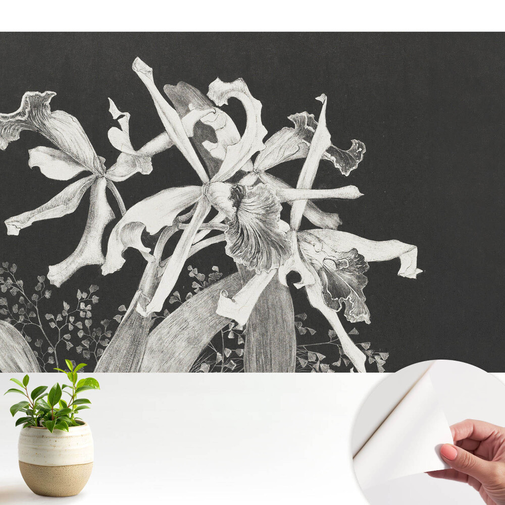 Tapeta na zeď Elegantní květiny na tmavém pozadí