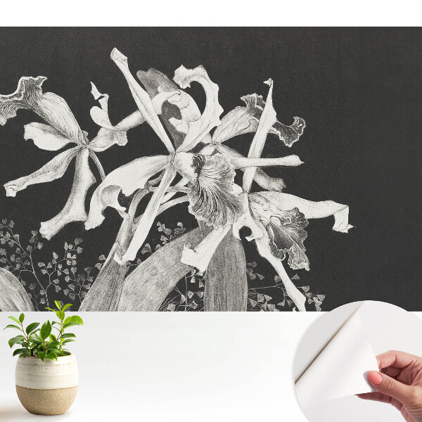 Tapeta na zeď Elegantní květiny na tmavém pozadí