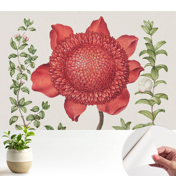 Tapeta Klasické květinové aranžmá z přírody