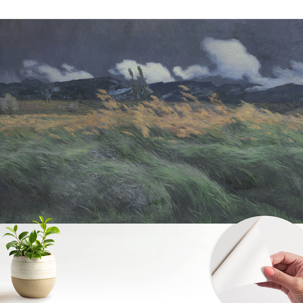 Tapeta na zeď Krajina s mraky a větrem