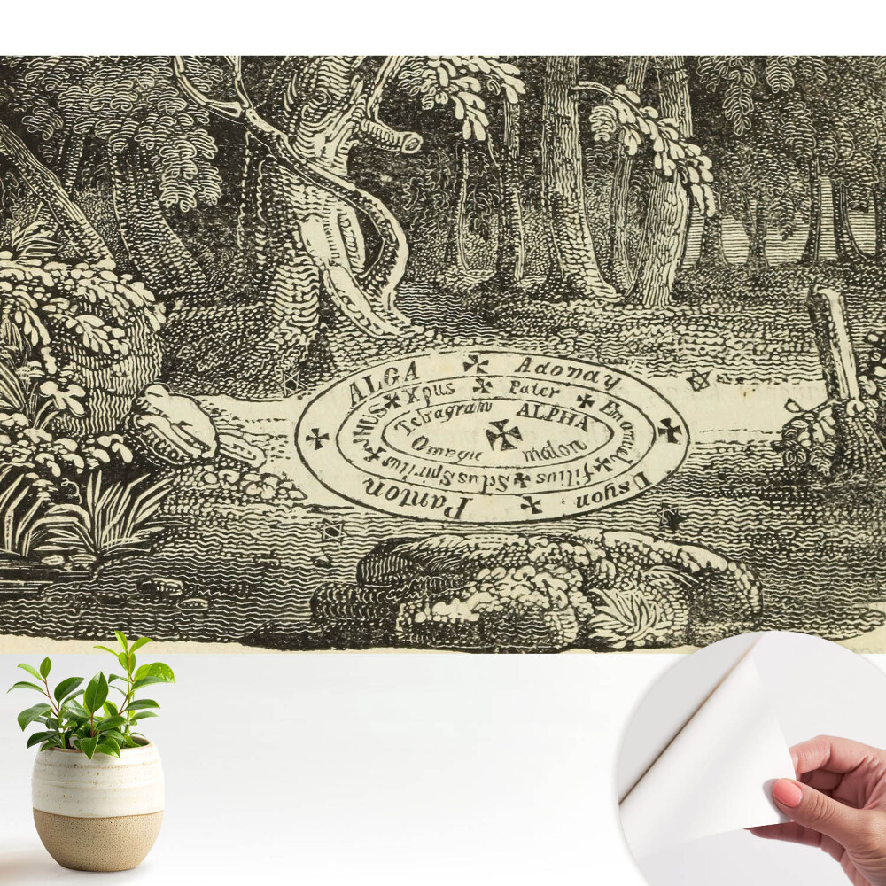 Tapeta do obyvaku Klasická ilustrace mystického lesa