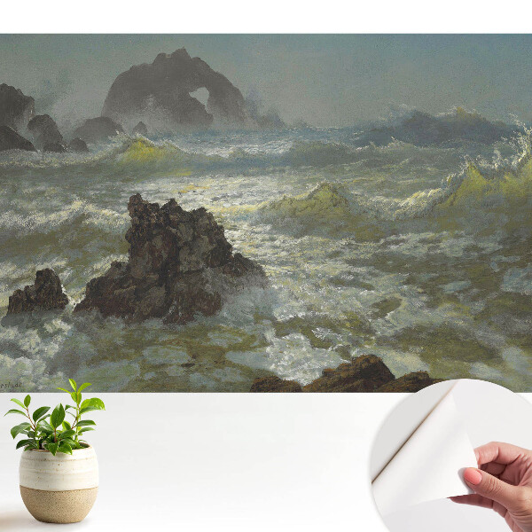 Tapeta Mořské vlny a skály