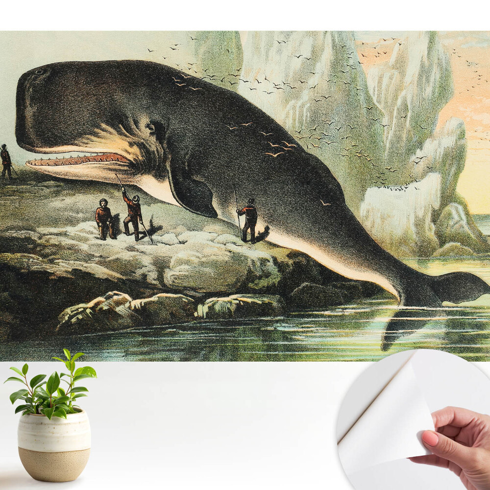 Tapeta do obyvaku Vorvaň na břehu v klasickém prostředí