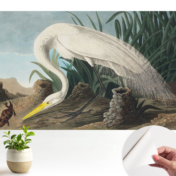 Tapeta Volavka v trávě