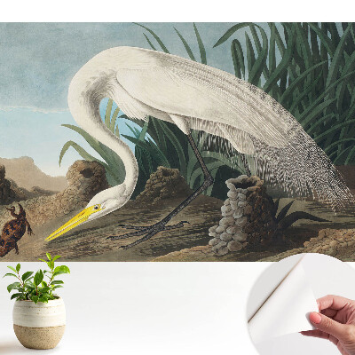 Tapeta Volavka v trávě