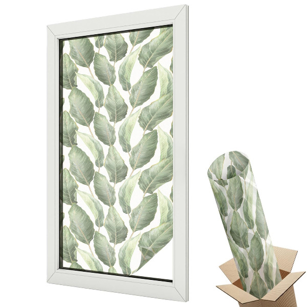 Protipohledová fólie na okna Zelené listy