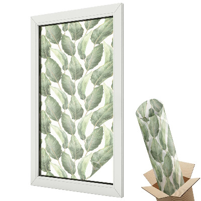 Protipohledová fólie na okna Zelené listy