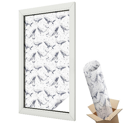 Fólie na okna proti slunci Mořští tvorové