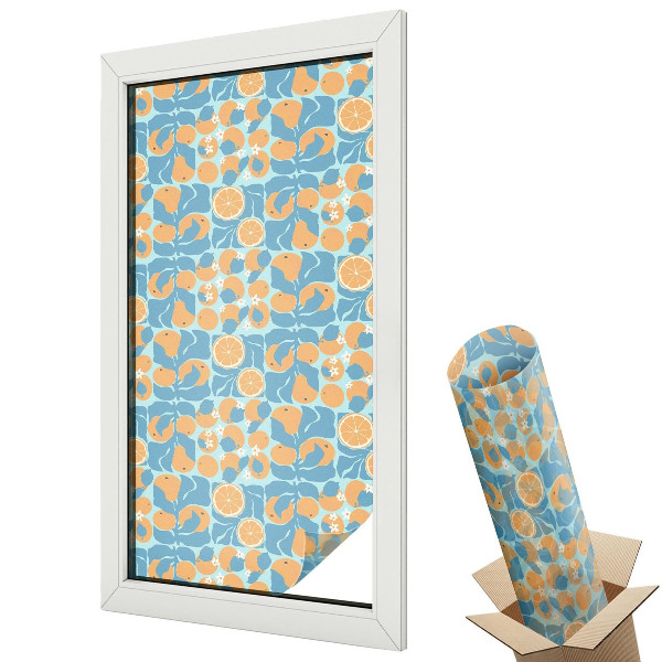 Protipohledová fólie na okna Rybí citrus