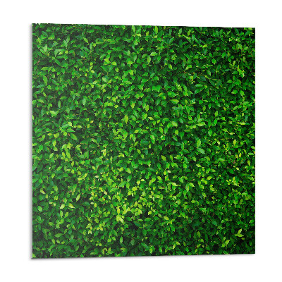 Pvc obklady Hustá stěna listů