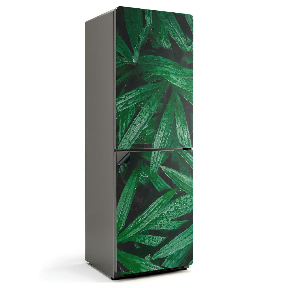 Magnet na ledničku Listy ve tvaru kapky v harmonickém tanci