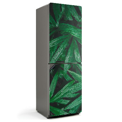 Magnet na ledničku Listy ve tvaru kapky v harmonickém tanci